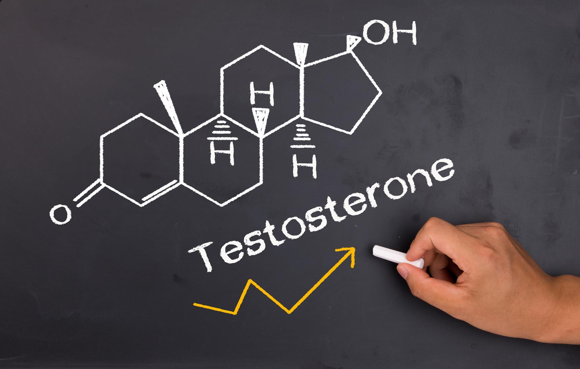 testosterone booster foods